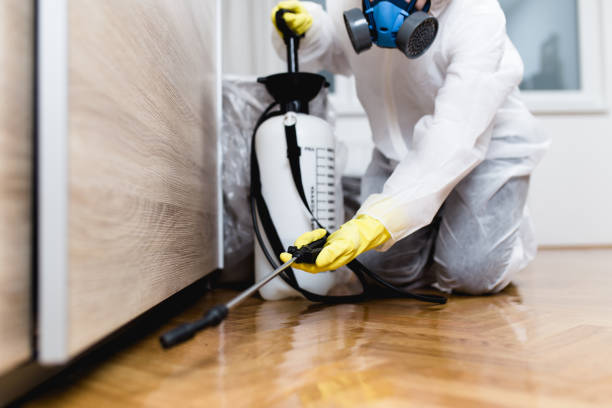 Best Wildlife Control Services  in West Peoria, IL