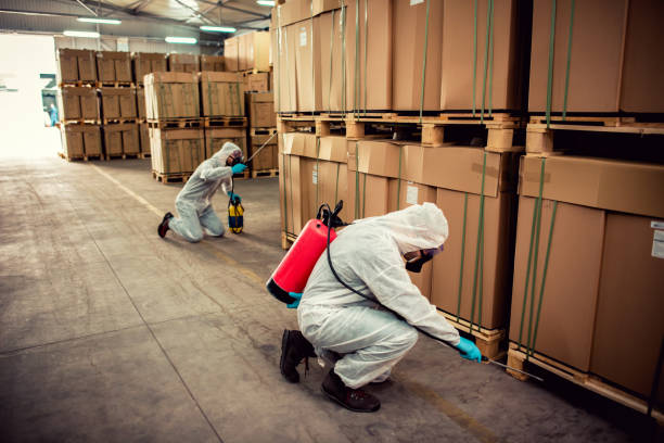 Best Mosquito Control Services  in West Peoria, IL