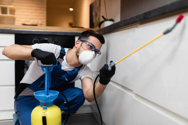 Best Rat Extermination Near Me  in West Peoria, IL