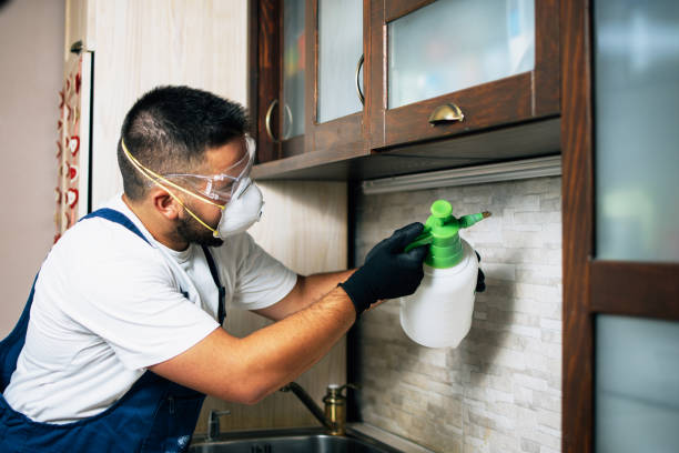 Best Affordable Pest Control Services  in West Peoria, IL