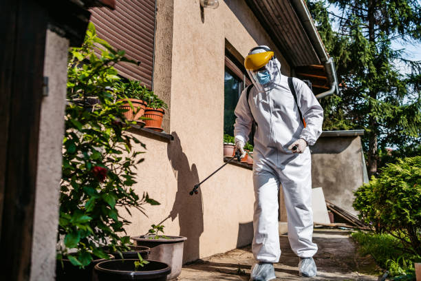 Best Wasp Removal Services  in West Peoria, IL