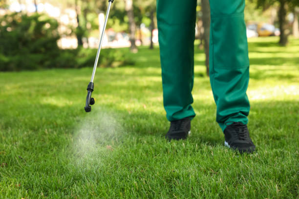 Best Affordable Pest Control Services  in West Peoria, IL