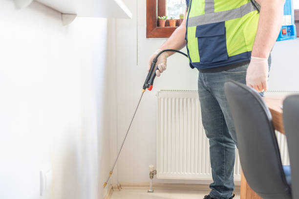 Best Wasp Removal Services  in West Peoria, IL