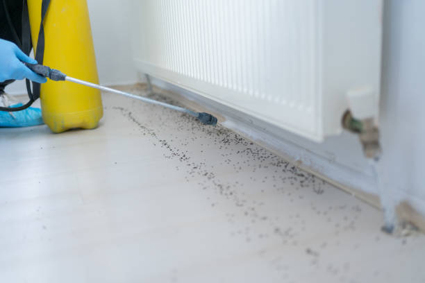 Best Local Pest Control Services  in West Peoria, IL