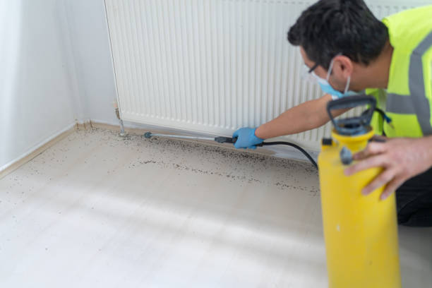 Best Pest Control Near Me  in West Peoria, IL