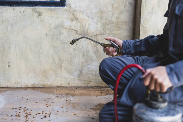 Best Affordable Pest Control Services  in West Peoria, IL